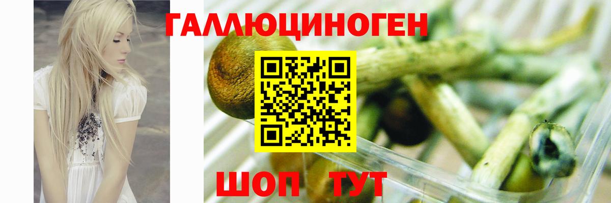 Ростов Великий  наркотики  Вход с VPN  Галлюциногенные грибы MAGIC MUSHROOMS 